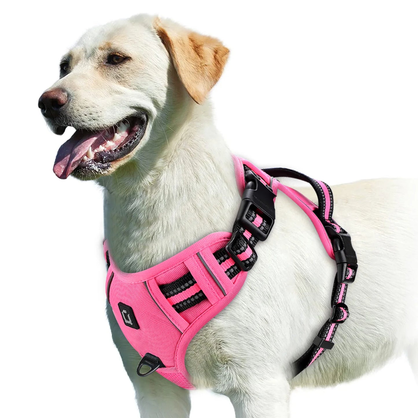 Harnais Anti-Traction pour Chien – Réglable, Confortable & Facile à Contrôler