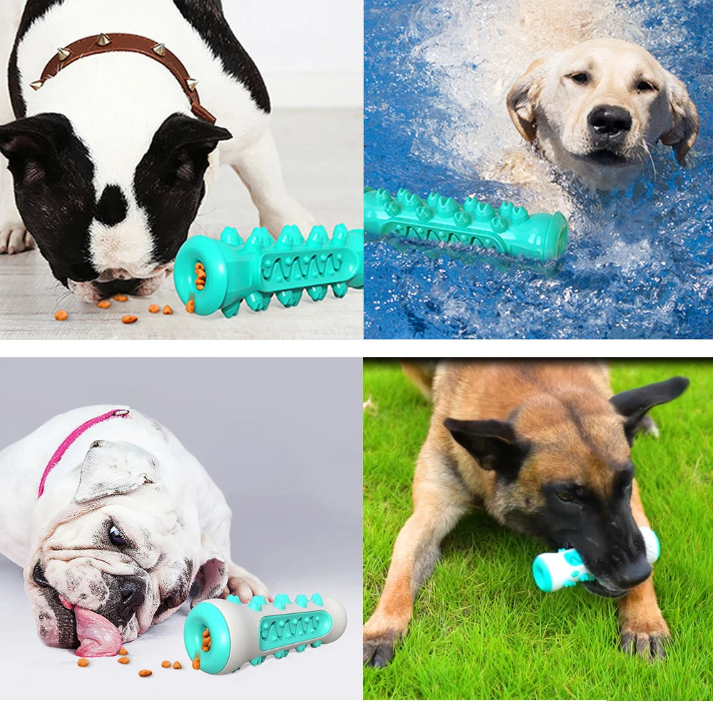 Jouet à Mâcher Brosse à Dents pour Chien – Soin Dentaire & Distributeur de Friandises Résistant