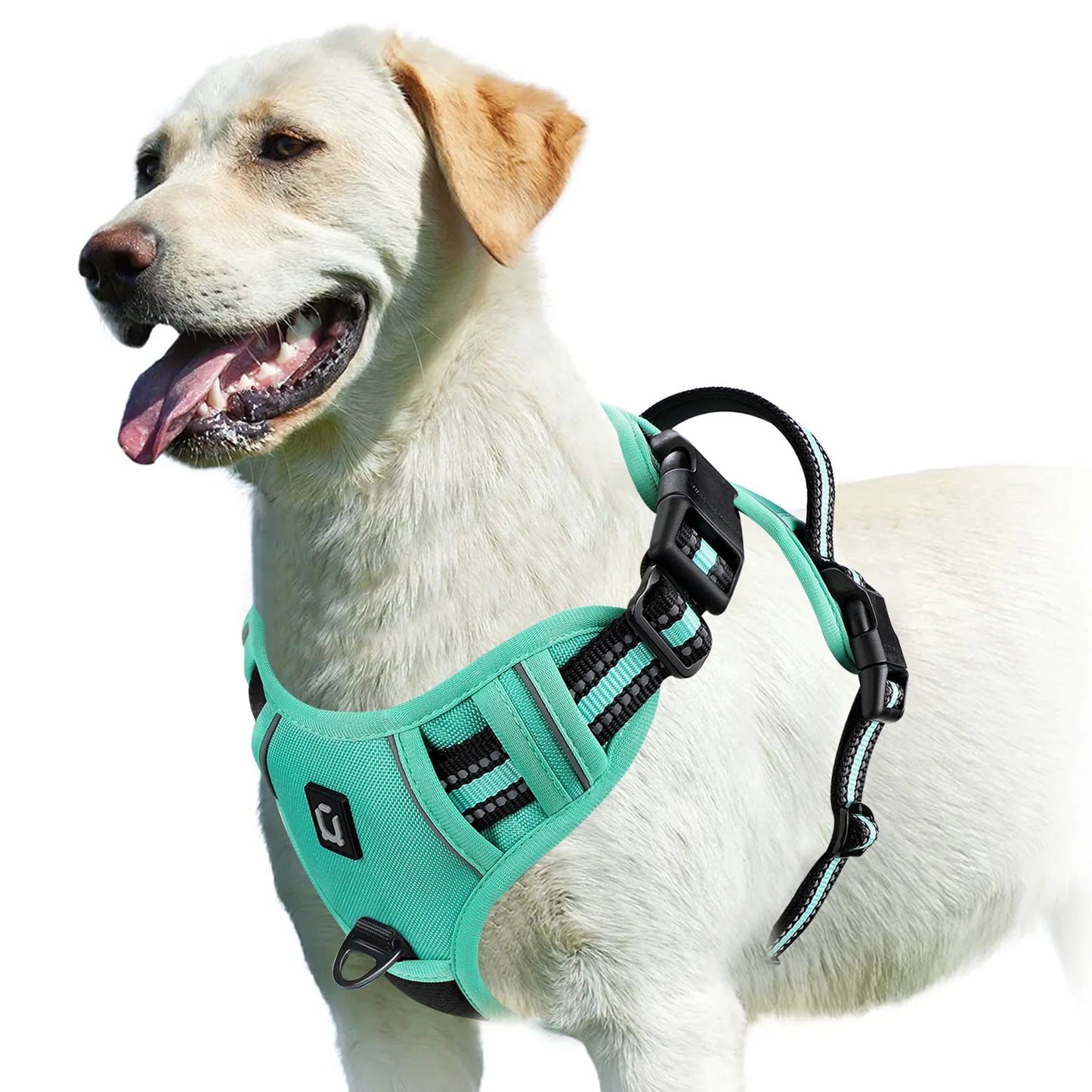 Harnais Anti-Traction pour Chien – Réglable, Confortable & Facile à Contrôler