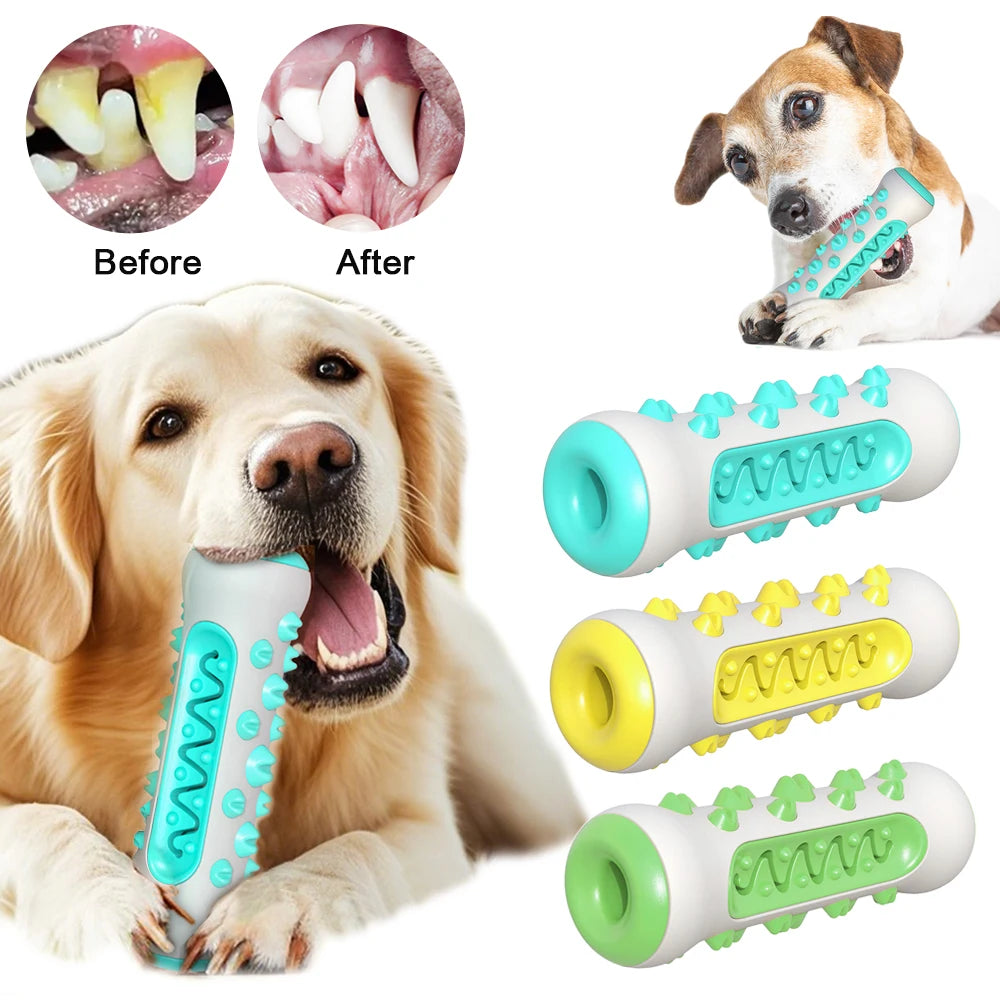 Jouet à Mâcher Brosse à Dents pour Chien – Soin Dentaire & Distributeur de Friandises Résistant