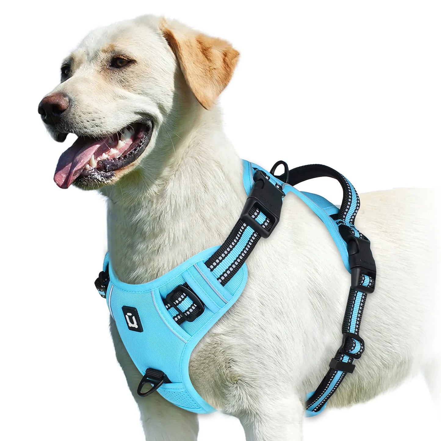 Harnais Anti-Traction pour Chien – Réglable, Confortable & Facile à Contrôler