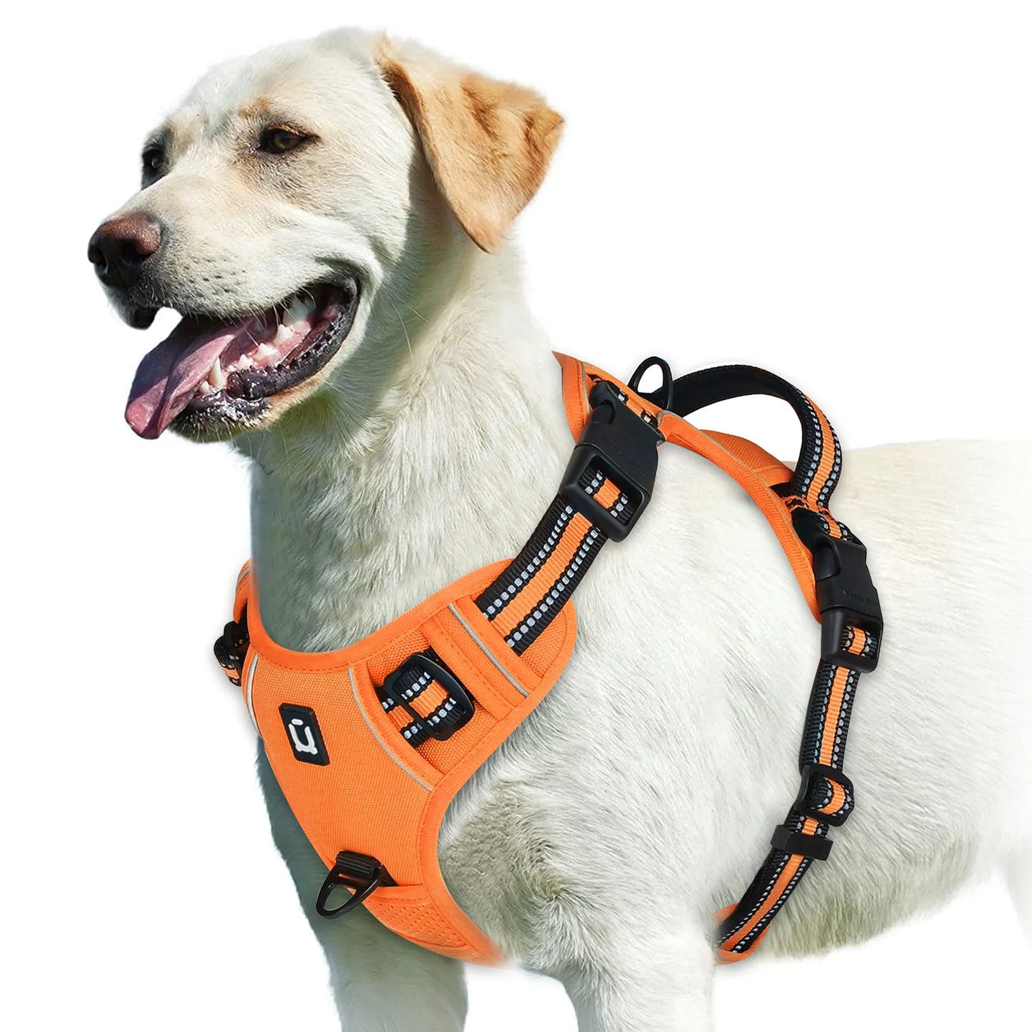 Harnais Anti-Traction pour Chien – Réglable, Confortable & Facile à Contrôler