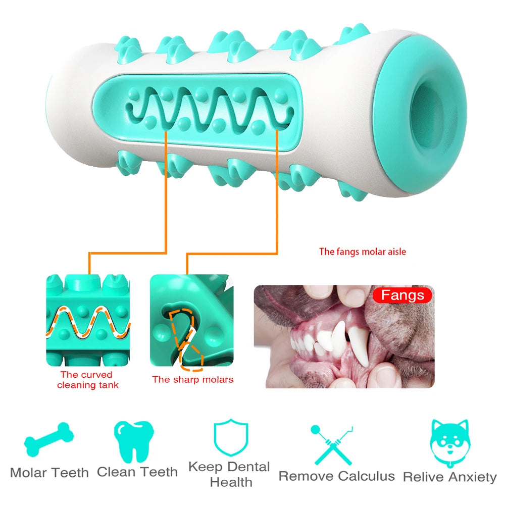 Jouet à Mâcher Brosse à Dents pour Chien – Soin Dentaire & Distributeur de Friandises Résistant