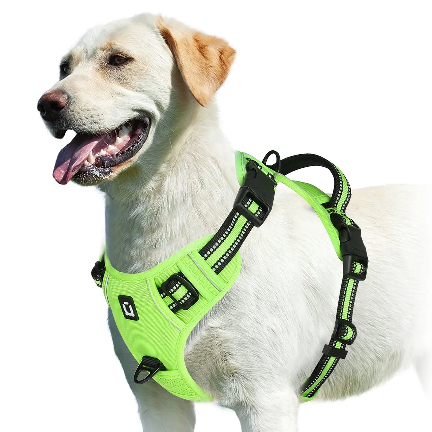 Harnais Anti-Traction pour Chien – Réglable, Confortable & Facile à Contrôler