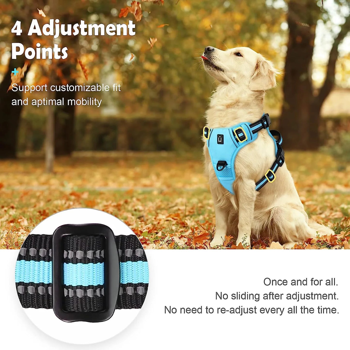 Harnais Anti-Traction pour Chien – Réglable, Confortable & Facile à Contrôler