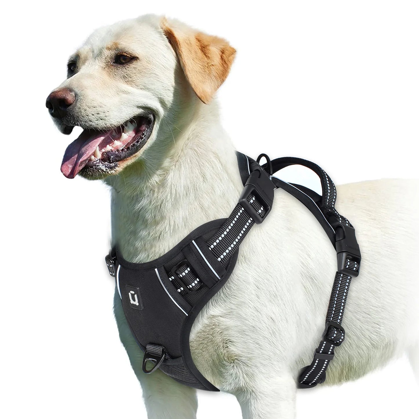 Harnais Anti-Traction pour Chien – Réglable, Confortable & Facile à Contrôler