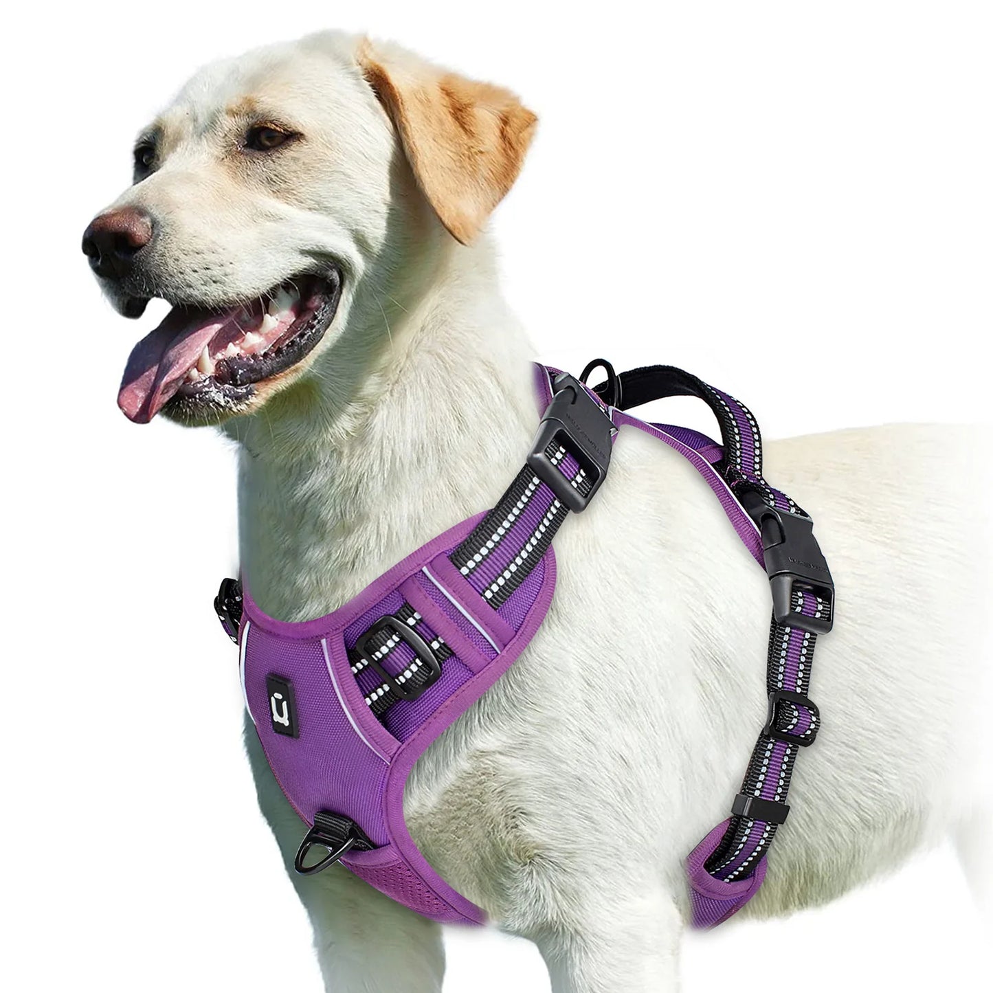Harnais Anti-Traction pour Chien – Réglable, Confortable & Facile à Contrôler