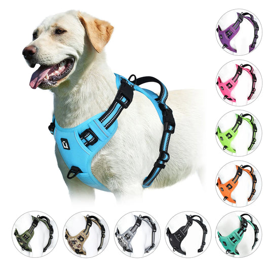 Harnais Anti-Traction pour Chien – Réglable, Confortable & Facile à Contrôler