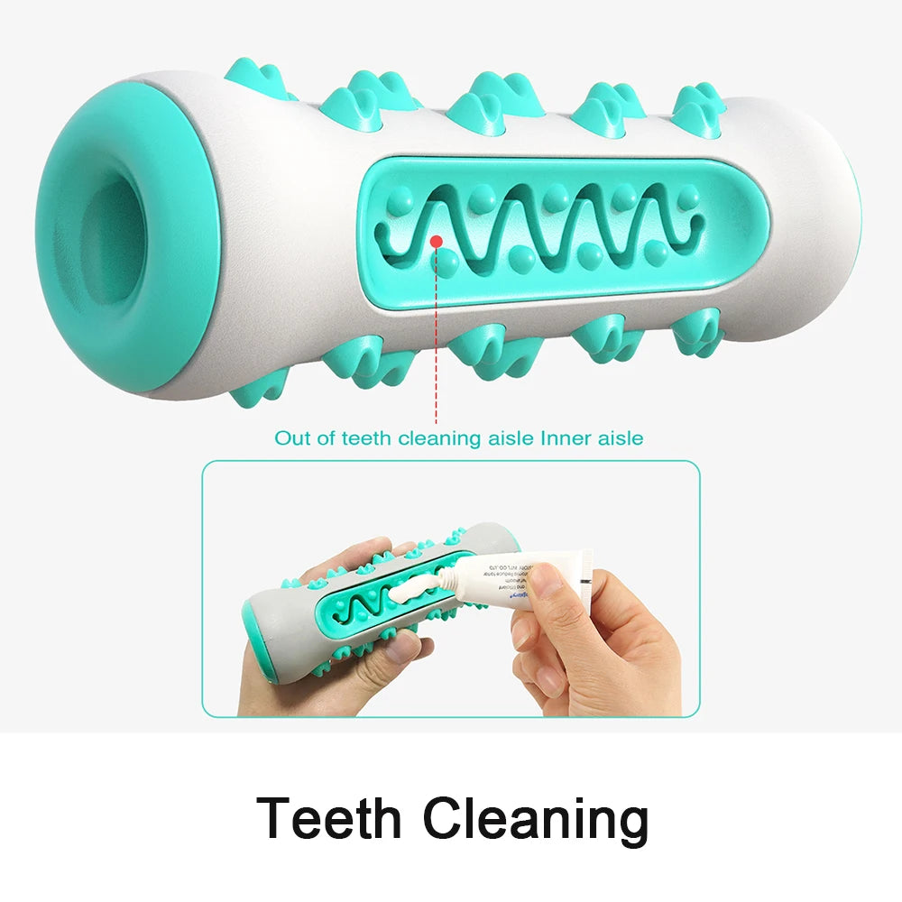 Jouet à Mâcher Brosse à Dents pour Chien – Soin Dentaire & Distributeur de Friandises Résistant