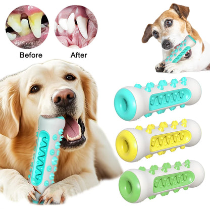 Jouet à Mâcher Brosse à Dents pour Chien – Soin Dentaire & Distributeur de Friandises Résistant