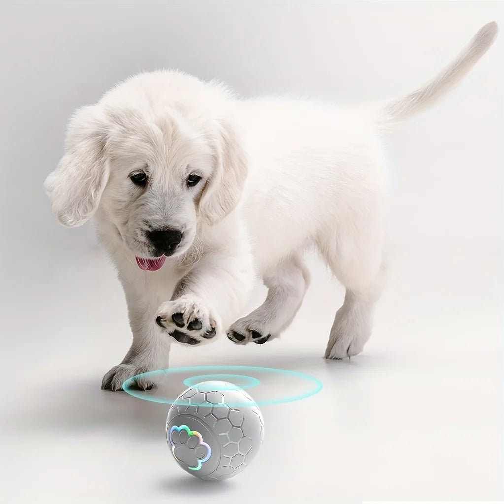 Balle Interactive Intelligente pour Chien et Chat – Rechargeable USB avec Lumières RGB
