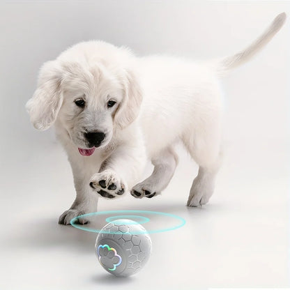 Balle Interactive Intelligente pour Chien et Chat – Rechargeable USB avec Lumières RGB