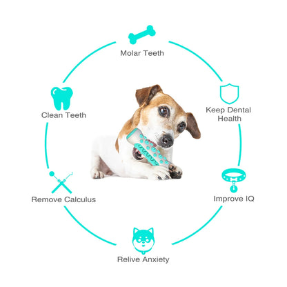 Jouet à Mâcher Brosse à Dents pour Chien – Soin Dentaire & Distributeur de Friandises Résistant