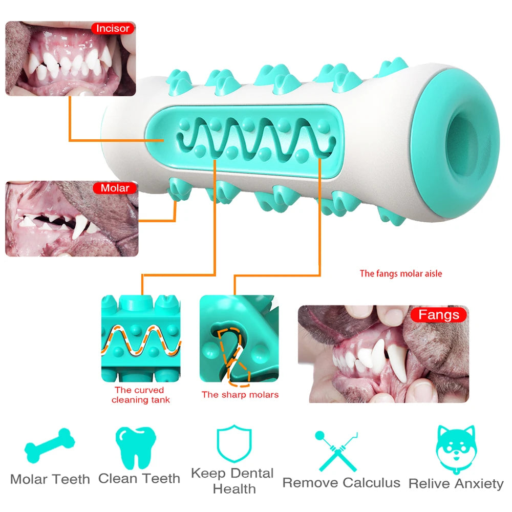 Jouet à Mâcher Brosse à Dents pour Chien – Soin Dentaire & Distributeur de Friandises Résistant