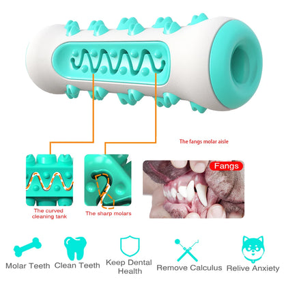 Jouet à Mâcher Brosse à Dents pour Chien – Soin Dentaire & Distributeur de Friandises Résistant