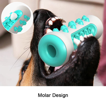 Jouet à Mâcher Brosse à Dents pour Chien – Soin Dentaire & Distributeur de Friandises Résistant